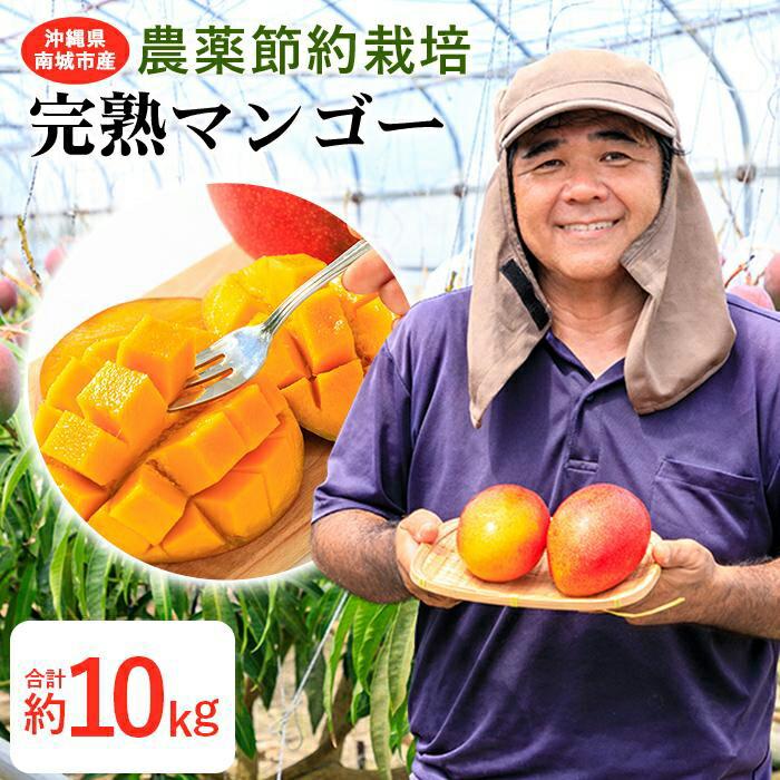 【ふるさと納税】【2024年発送】沖縄県南城市産「完熟マンゴー」約10kg ◆ギフト／家庭用◆ 農家直送 農薬節約栽培 | 沖縄 アップル 贈答 人気 お取り寄せ プレゼント おすすめ 7月 数量限定