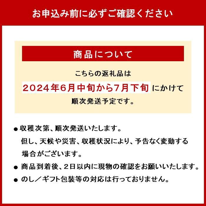 【ふるさと納税】訳あり マンゴー 2024年発送 約1.5kg 3玉-6玉 白箱 完熟アップルマンゴー | 傷 わけあり 沖縄 家庭用 果物 くだもの フルーツ 先行予約 6月 7月 お届け 夏 旬 ご当地 お土産 人気 おすすめ お取り寄せ グルメ 沖縄県 南城市 送料無料