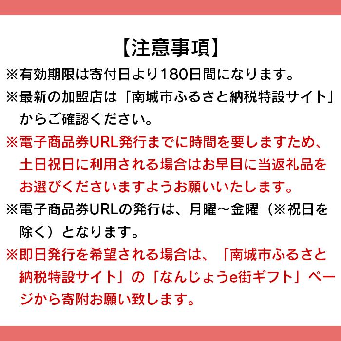 【ふるさと納税】電子商品券 なんじょうe街ギフ...の紹介画像2