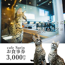 【ふるさと納税】お食事券 3,000円分 cafe Surin ( カフェ スリン ) 南城市