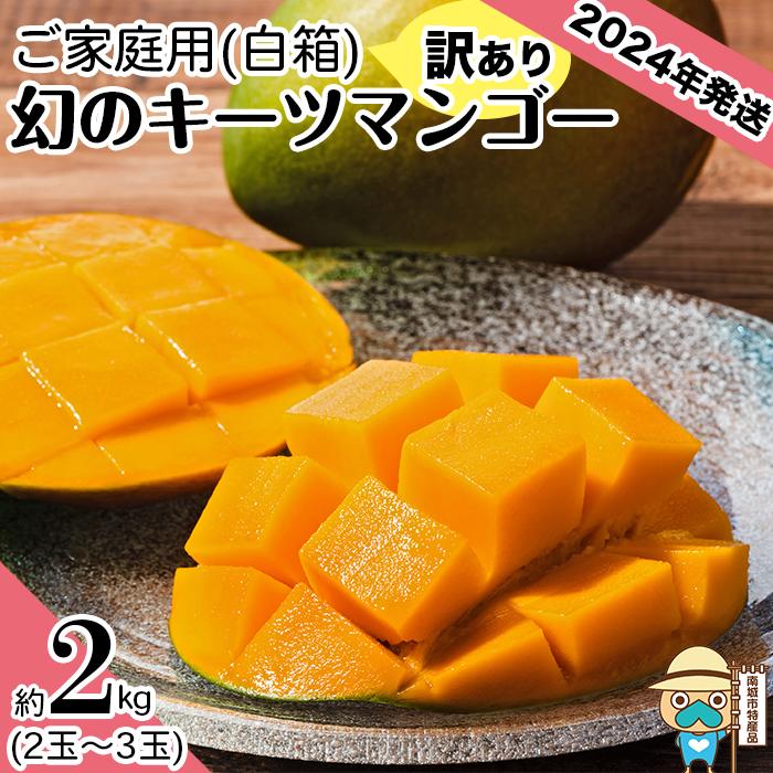 訳あり キーツマンゴー 2024年発送 約2kg 2玉-3玉 白箱 | 傷 わけあり 沖縄 家庭用 果物 くだもの フルーツ 先行予約 8月〜9月お届け 産地直送 送料無料 果物 マンゴー