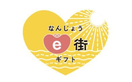 【ふるさと納税】電子商品券 なんじょうe街ギフト（1,500円分）