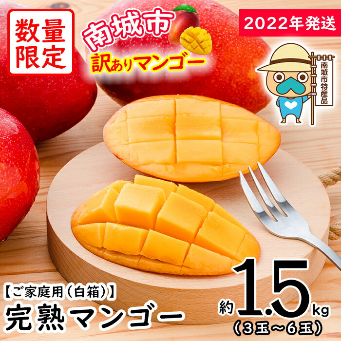 フルーツ・果物, マンゴー  1.5kg 36 