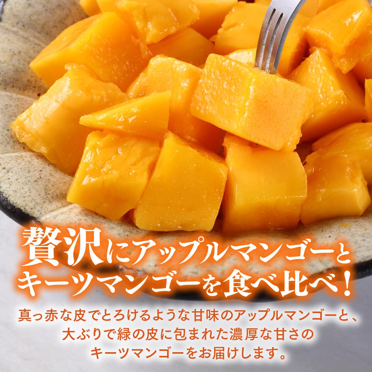 【ふるさと納税】【先行予約】＜8月発送＞アップルマンゴー1,5kg　化粧箱 &＜9月発送＞キーツマンゴー2kg　化粧箱