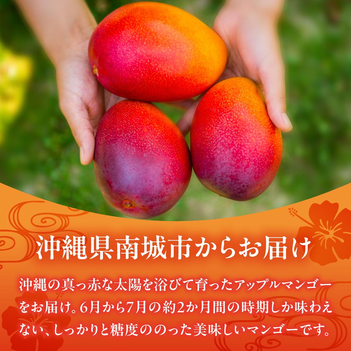 【ふるさと納税】【先行予約】糖度15度以上！最高級プレミアムマンゴー約1kg（2玉）