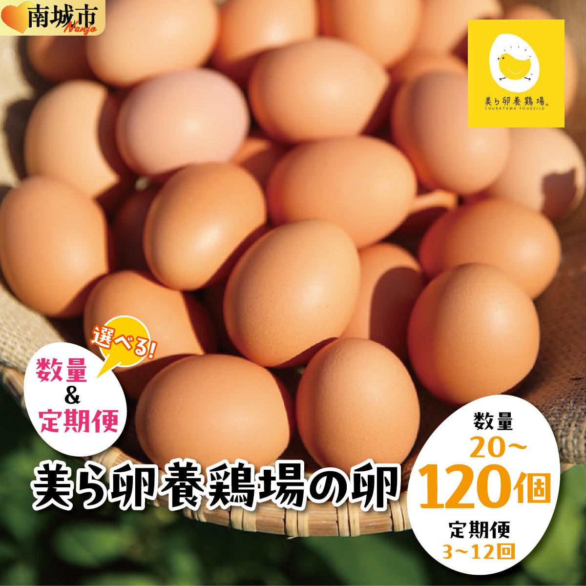 【ふるさと納税】【選べる内容量】【選べる配送種類】卵の黄身が掴めるほ...