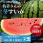 【ふるさと納税】島袋さんの冬スイカ《4~5Kg×2玉》【2024年 先行予約】 15,000円