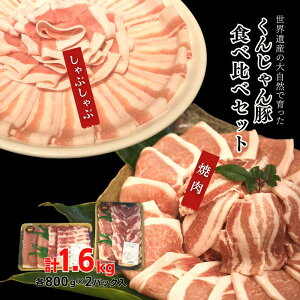 【ふるさと納税】【ふるさと納税限定】「くんじゃん豚」しゃぶしゃぶ/焼肉 食べ比べセット1.6kg（バラ・ロース）スライス 国産豚肉 豚バラ