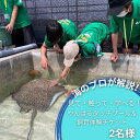 【ふるさと納税】【体験】見て・触って・学べる！やんばるタッチプール＆飼育体験チケット(2名様)