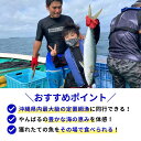 【ふるさと納税】 沖縄県最大級！やんばる定置網漁 体験チケット（2名様） 旅行 観光 沖縄 子供 釣り 漁師 ギフト 鮮魚 新鮮 ペア 家族 3