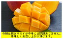沖縄県国頭村の画像3