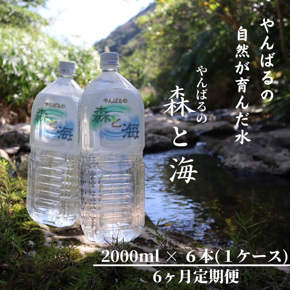 【ふるさと納税】【6ヶ月定期便】やんばるの水 「森と海」2000ml 6本