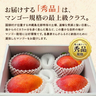 沖縄県国頭村の画像3