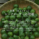 沖縄県国頭村の画像2
