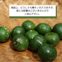 沖縄県国頭村の画像3