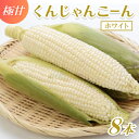 【ふるさと納税】【2026年4〜5月頃順次発送】春獲れ一番!極甘くんじゃんこーん ホワイト 8本 とうもろこし【配送不可地域:離島】【1578629】