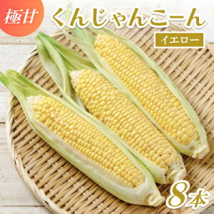 【ふるさと納税】【2026年4~5月頃順次発送】春獲れ一番!極甘くんじゃんこーん 8本 とうもろこし【配送不可地域:離島】【1578836】