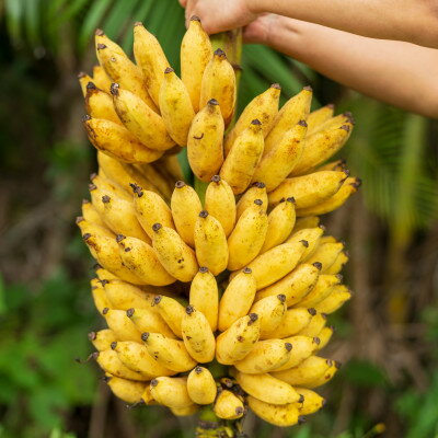 沖縄県国頭村の画像2