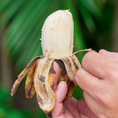 沖縄県国頭村の画像3
