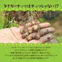 沖縄県国頭村の画像2