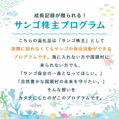 沖縄県国頭村の画像3