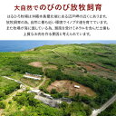 沖縄県国頭村の画像3