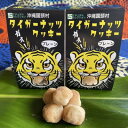 【ふるさと納税】グルテンフリー クッキー プレーン味 国産タイガーナッツ 120g×5個 ちんすこう【1581053】