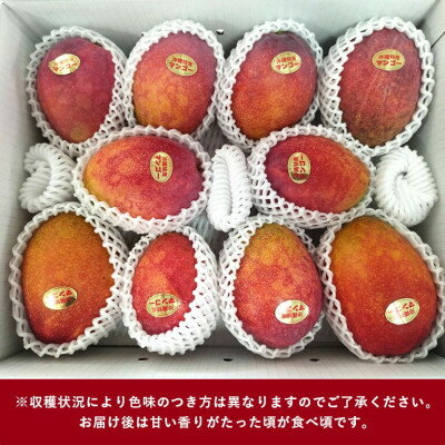 沖縄県国頭村の画像2