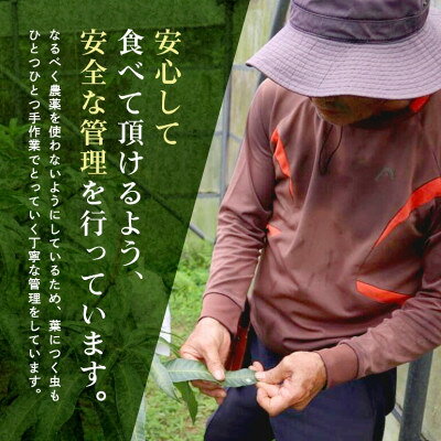 沖縄県国頭村の画像3