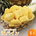 【ふるさと納税】【2025年7月~8月の発送】パイナップルの王道 Nパイン4玉【配送不可地域:離島】【1584608】