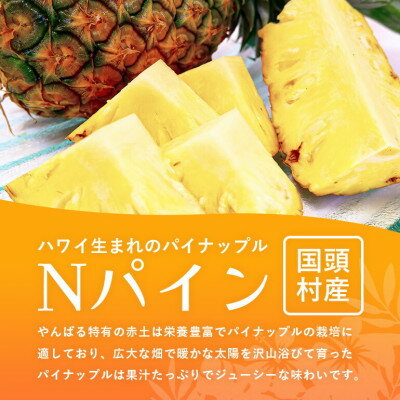 沖縄県国頭村の画像2