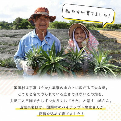 沖縄県国頭村の画像3