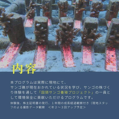 沖縄県国頭村の画像2