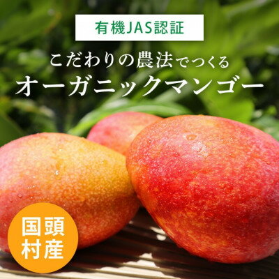 沖縄県国頭村の画像2