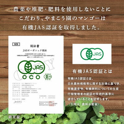 沖縄県国頭村の画像3