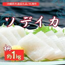 【ふるさと納税】ソデイカ(セーイカ) 1kg(2〜3柵)【配送不可地域:離島】【1591583】