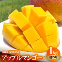 【ふるさと納税】【2026年6月中旬から順次発送】贈答用のアップルマンゴー1kg【配送不可地域:離島】【1601771】