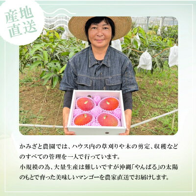 沖縄県国頭村の画像2