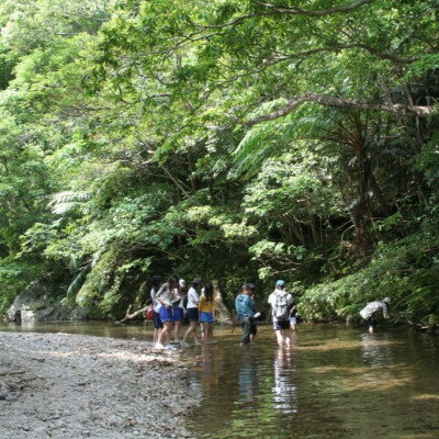 沖縄県国頭村の画像2