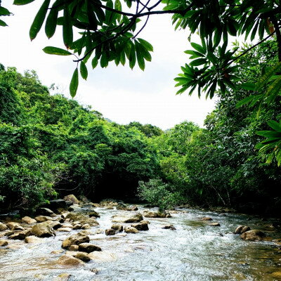沖縄県国頭村の画像2