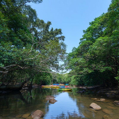 沖縄県国頭村の画像3