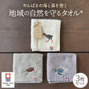 【ふるさと納税】地域の自然を守るタオル やんばるの海と森を想う 3枚セット【1606929】