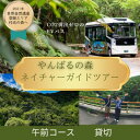 【ふるさと納税】【事前予約必須】やんばるの森ネイチャーガイドEVバスツアー 午前コース 貸切(最大16名乗車可能)【1606966】