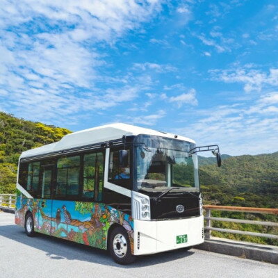 沖縄県国頭村の画像2