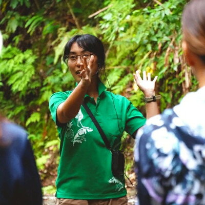 沖縄県国頭村の画像3