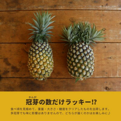 沖縄県国頭村の画像3