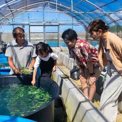【ふるさと納税】見て・触って・学べる!やんばるタッチプール&飼育体験チケット2名様_ 体験チケット タッチプール 飼育体験 沖縄の海 海の生き物 触れあい体験 ナマコ ヒトデ サメ 雨の日 人気 おすすめ【1613754】 f473014-kunigami-10000715 沖縄県国頭村 サンプル画像3