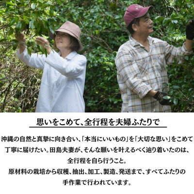 沖縄県国頭村の画像3