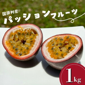 【ふるさと納税】【2026年5月から順次発送】国頭村産パッションフルーツ1kg(10~12玉)【1616926】