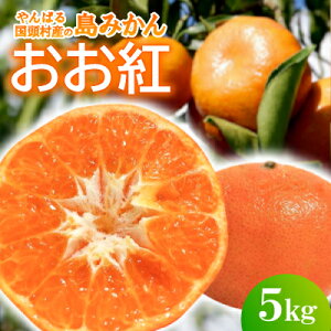 【ふるさと納税】【2025年12月頃から順次発送】やんばる国頭村産の島みかん おお紅 5kg【1618487】